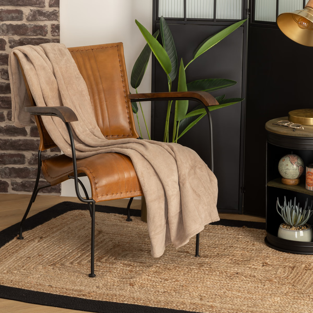 103871D Плед из микрофибры