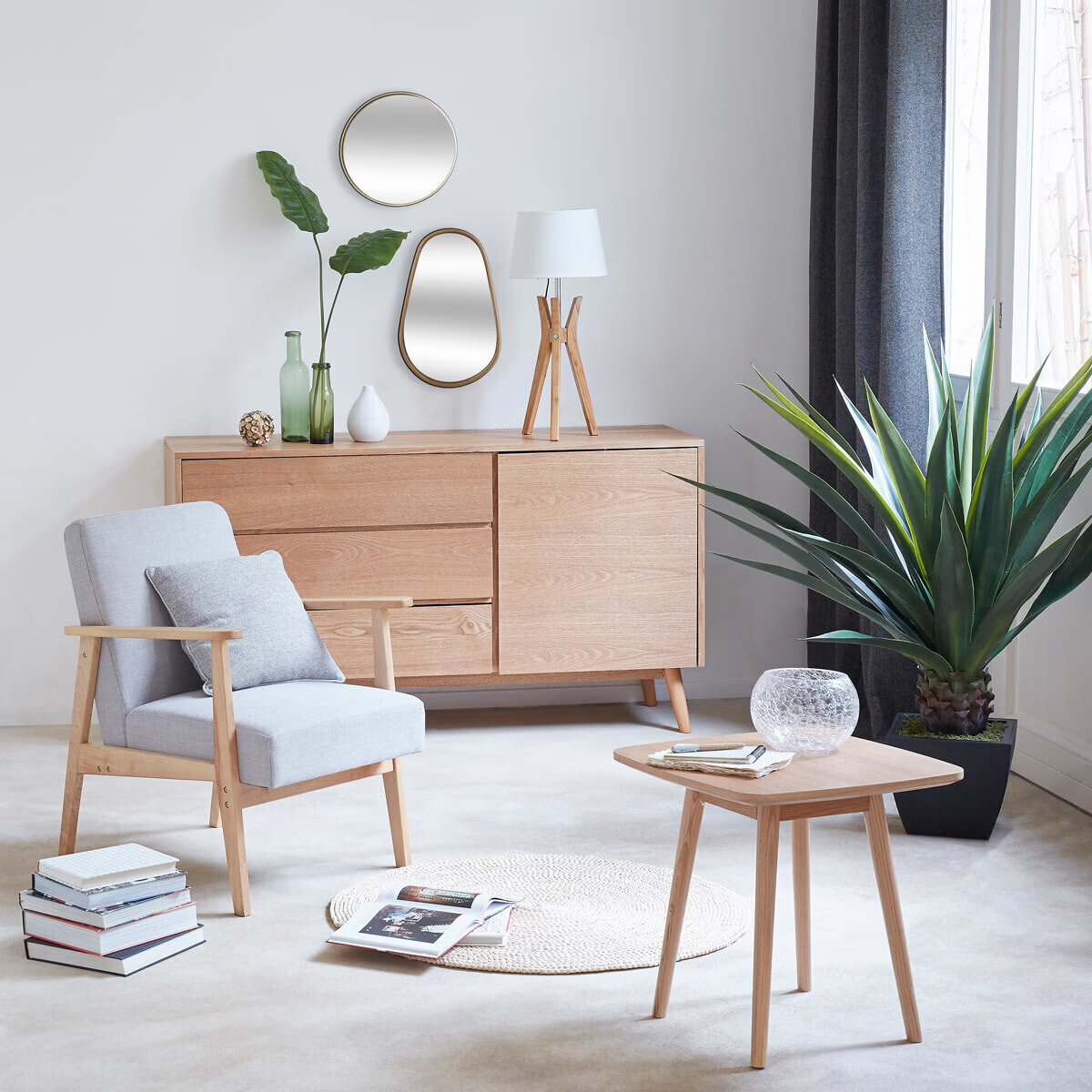 124146 Агава в горшке