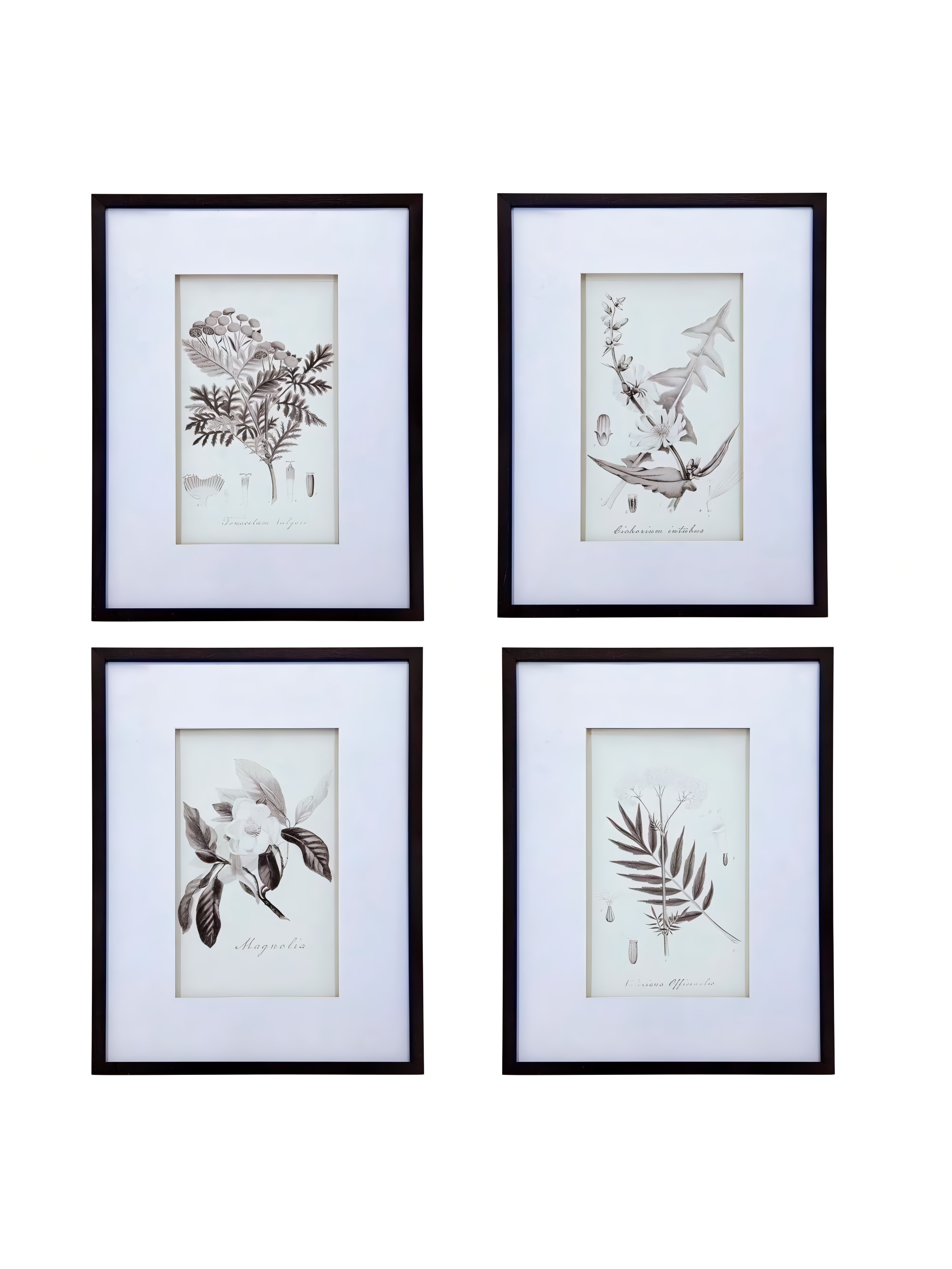 Картина AV43782